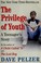 Go to record The privilege of youth : a teenager's story