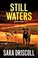 Go to record Still waters