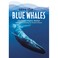 Go to record Save the ... blue whales
