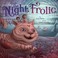 Go to record The night frolic