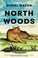 Go to record North woods : a novel