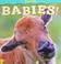 Go to record Bison babies!
