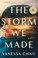 Go to record The storm we made : a novel