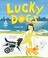 Go to record Lucky dogs