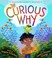 Go to record The curious why