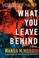Go to record What you leave behind : a novel
