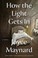Go to record How the light gets in : a novel