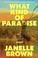 Go to record What kind of paradise : a novel