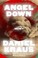 Go to record Angel down