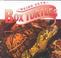 Go to record Box turtles