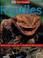 Go to record Reptiles