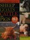 Go to record Storey's illustrated breed guide to sheep, goats, cattle, ...