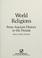 Go to record World religions : from ancient history to the present