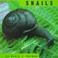 Go to record Snails