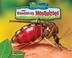 Go to record Bloodthirsty mosquitoes