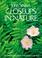 Go to record John Shaw's closeups in nature.