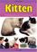 Go to record I am Your Kitten