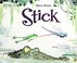 Go to record Stick