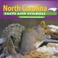 Go to record North Carolina facts and symbols
