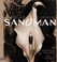 Go to record The annotated Sandman. Vol. 1, The Sandman #1-20