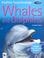 Go to record Whales and dolphins