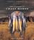 Go to record The journey of Crazy Horse a Lakota history