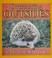 Go to record Outstanding outsides