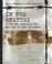 Go to record In the ghettos : teens who survived the ghettos of the Hol...