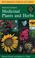 Go to record A field guide to medicinal plants and herbs of eastern and...