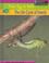 Go to record The life cycle of insects