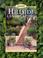 Go to record Hillside landscaping