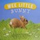 Go to record Wee little bunny