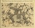 Go to record The view from the oak : the private worlds of other creatu...