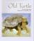 Go to record Old Turtle : a story