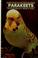 Go to record Parakeets
