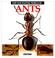 Go to record The fascinating world of-- ants