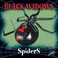 Go to record Black widow spiders.