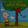 Go to record Go fly a kite, Charlie Brown!