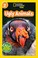 Go to record Ugly animals