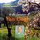Go to record In the footsteps of Van Gogh