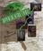 Go to record Step by step along the Appalachian Trail