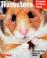 Go to record Hamsters : everything about purchase, care, nutrition, bre...