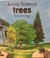 Go to record Trees