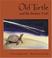 Go to record Old turtle and the broken truth : a story