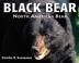 Go to record Black bear : North America's bear