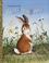 Go to record Home for a bunny