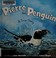 Go to record Pierre the penguin : a true story