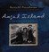 Go to record Angel Island : gateway to Gold Mountain