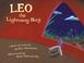 Go to record Leo the lightning bug