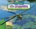 Go to record Speedy dragonflies